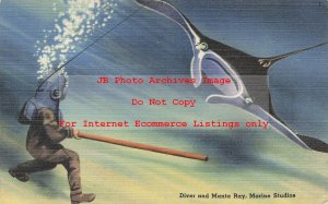 FL, Marineland, Florida, Marine Studios, Diver, Manta Ray, Tichnor No 76094