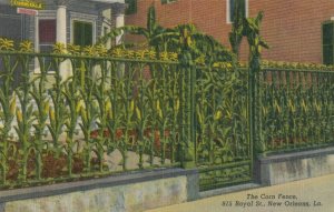 NEW ORLEANS , Louisiana , 1930-40s ; The Corn Fence