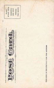 High School Building Danville Indiana 1905c postcard