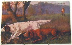 A1931      DOG    POSTCARD,  DOGS HUNTING