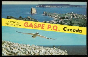 Greetings from Gaspe P.Q., Canada