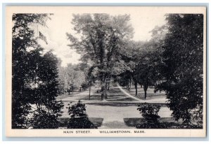 c1920's Main Street Flag Pole Dirt Road Lined Trees Williamstown M.A. Postcard