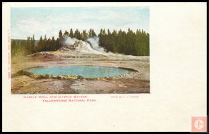 Castel Well and Castle Geyser, Yellowstone National park