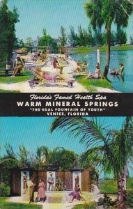 Florida Venice Warm Mineral Springs