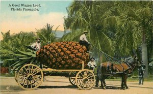 Florida Farm Agriculture Pineapple Exaggeration Teich C-1910 Postcard 21-5330