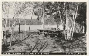 RPPC Scene in Brunet Island State Park - Cornell WI, Wisconsin