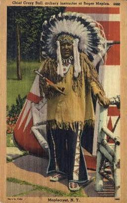 Chief Crazy Bull at Sugar Maples Archery Instructor, Indian Postcard Post Car...