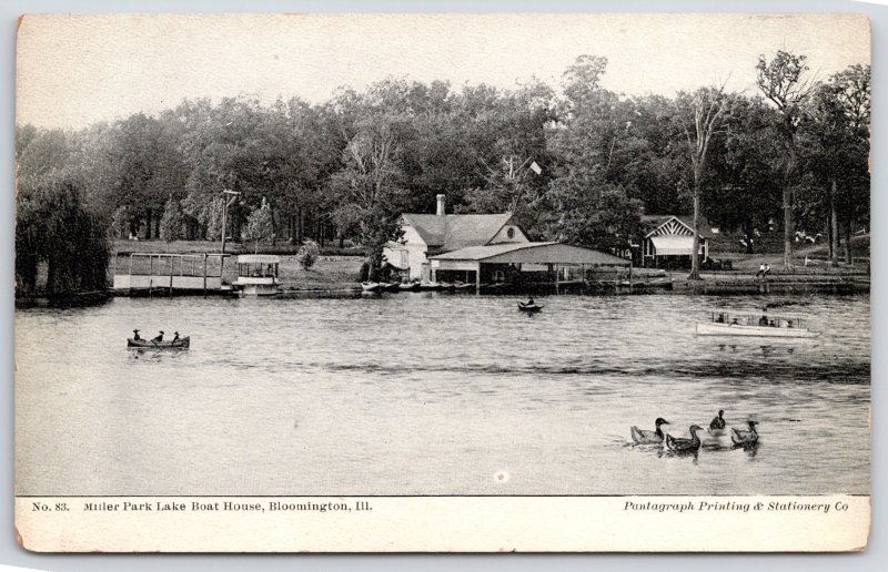 Bloomington Illinois~Miller Park Lake Boat House~Ducks in Water~Excursion~c1905 