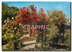 Modern Postcard L'Hay les Roses (Val de Marne) The Rose Garden