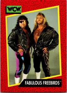 1991 WCW Wrestling Card Fabulous Freebirds sk21180