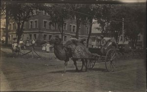 Circus in Town Camel Wagon Woman in Carriage c1910 Real Photo Postcard