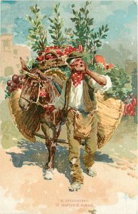 Postcard C-1905 Italy Street Vendor vegetable Seller undivided FR24-2829