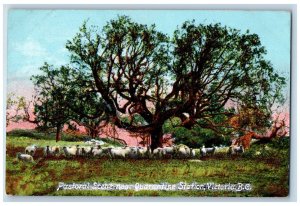 Victoria BC Canada Postcard Pastoral Scene Near Quarantine Station c1910