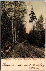 1907 Loan Pine Mount Vernon Road Milford New Hampshire NH Posted Postcard