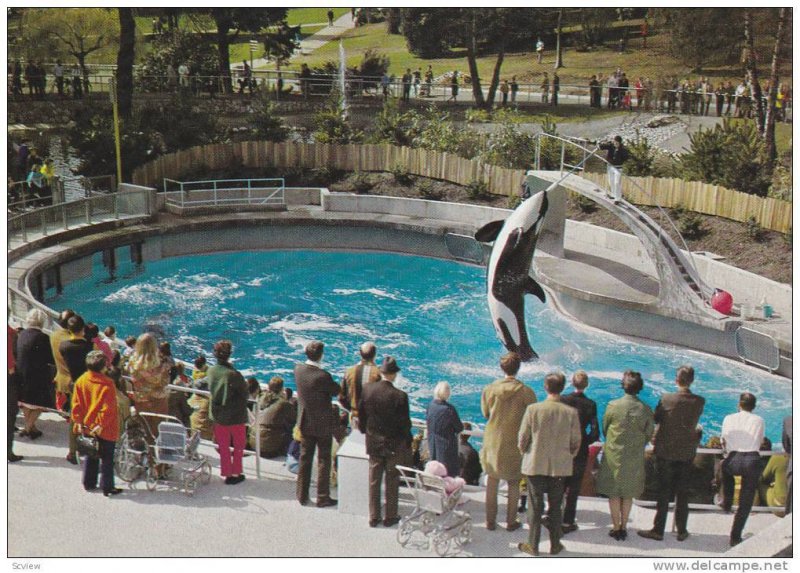 Skana  the Killer Whale  , Vancouver , B.C., Canada , 50-70s