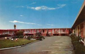 CA, Berkeley  CALIFORNIA MOTEL~University Ave  Roadside c1950's Chrome Postcard