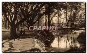 Old Postcard Toulouse Garden plants