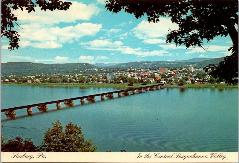 VINTAGE CONTINENTAL SIZE POSTCARD SUNBURY PA. IN THE CENTRAL SUSQUEHANNA VALLEY