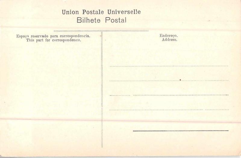 Ponta Delgada Azores Portugal Pineapple Grove Antique Postcard (J32930)