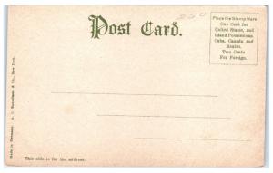 Early 1900s SS Western States, Great Lakes Passenger Steamer Postcard 