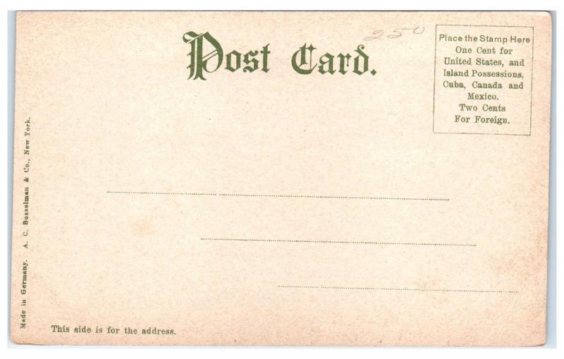 Early 1900s SS Western States, Great Lakes Passenger Steamer Postcard 