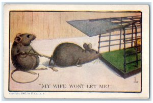 1908 Rat Trapped Cage My Wife Won't Let Me Decatur Illinois IL Antique Postcard