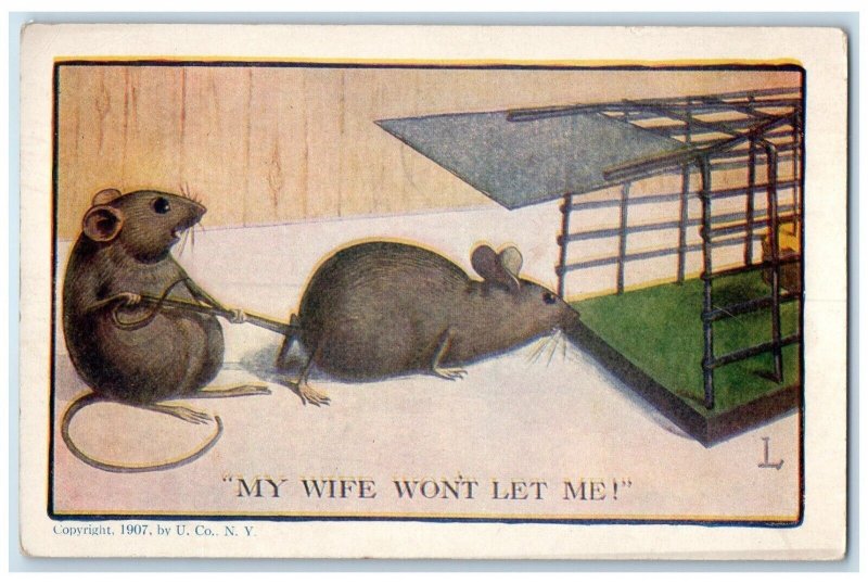 1908 Rat Trapped Cage My Wife Won't Let Me Decatur Illinois IL Antique Postcard