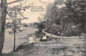 Lovers Lane, Savin Rock Park New Haven, Connecticut, CT, USA 1908 