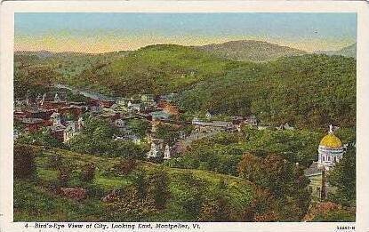 Vermont Montpelier Birds Eye View of City Looking East Curteich