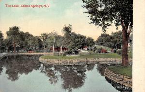 CLIFTON SPRINGS, NY New York THE LAKE~Village Beyond ONTARIO CO c1910's Postcard