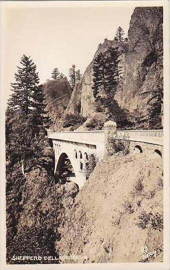 Wisconsin Dells Shepperd Dell Bridge Real Photo RPPC