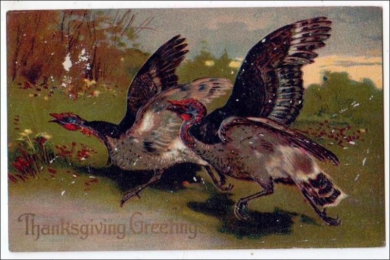 Greeting - Thanksgiving, Turkeys Flying