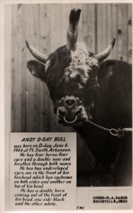 RPPC  Freak Odditie  Andy D-Day Bull  Ft. Smith Arkansas   Postcard  c1944