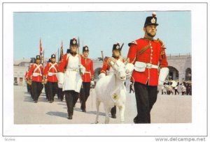 Old Fort Henry Guard being led on parade by The Mascot DAVID, Kingston, Ont...