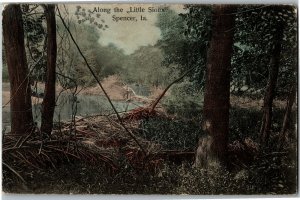 View Along the Little Sioux, Spencer IA Vintage Postcard E28