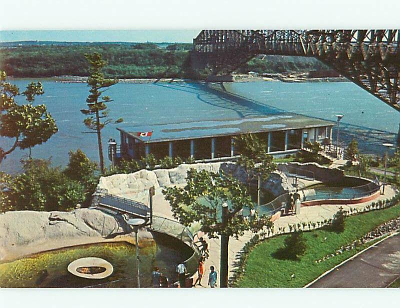 Quebec Canada Aquarium Sea Lion Pools quebec Bridge St Laweranc  Postcard # 5873