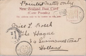 New Zealand Roadway Buller Gorge Vintage Postcard 09.41