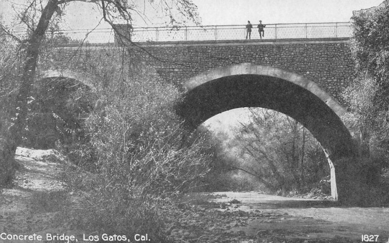 Concrete Bridge, Los Gatos, Santa Clara Co., California c1910s Vintage Postcard