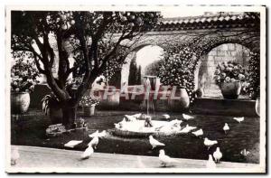 Old Postcard Saint Paul De Vence La Colombe d & # 39Or General view