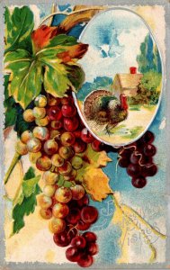Thanksgiving Greetings With Turkey and Grapes 1909