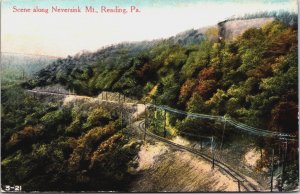 Scene Along Neversink Mountain Reading Pennsylvania Vintage Postcard  C101