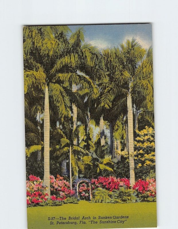 Postcard The Bridal Arch in Sunken Gardens, St. Petersburg, Florida