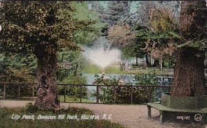 Canada Victoria Lily Pond In Beacon Hill Park