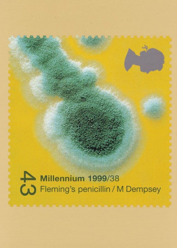 Alexander Fleming Penicillin Medicine Limited Edition Postcard | Topics -  Health, Postcard