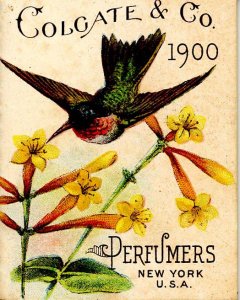 Calendar Booklet, 1900. Colgate & Co Perfumers. (2.25 X 1.75)16pp thread st...