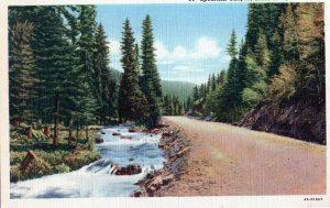 VTG 1930s Spearfish Canyon Black Hills South Dakota SD Linen Postcard