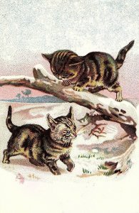 Lot of 2 Kittens Playing Outside in the Winter Victorian Trade Cards P35