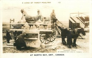 Postcard RPPC Canada Ontario North Bay Chicken Exaggeration 1946 23-7804