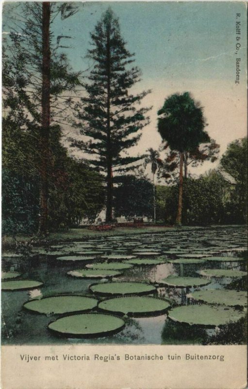 PC BUITENZORG VIJVER MET REGIA'S BOTANISCHE TUIN INDONESIA (a20652)