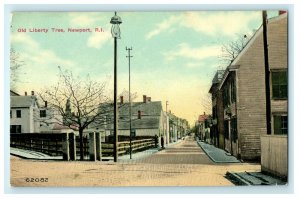 1911 Old Liberty Tree Newport, Rhode Island RI Antique Postcard